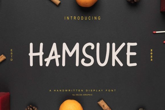 Hamsuke: A Handwritten Font for Editorial Brilliance